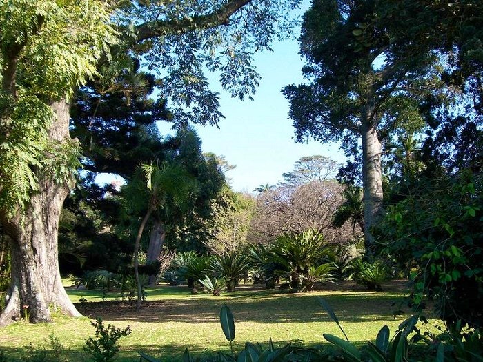 Durban botanic Gardens by  Purves, M. (Creative Commons)