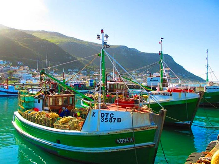 Spend the Day in Kalk Bay – Here’s what to do