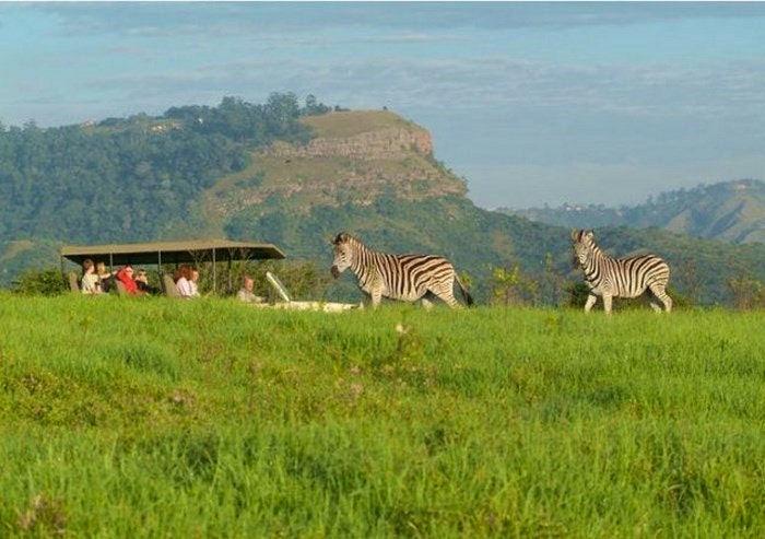 At a Glance: Seafood to Safaris in KwaZulu-Natal