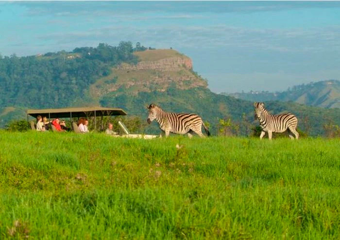 At a Glance: Seafood to Safaris in KwaZulu-Natal