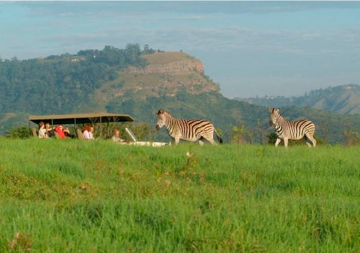 At a Glance: Seafood to Safaris in KwaZulu-Natal