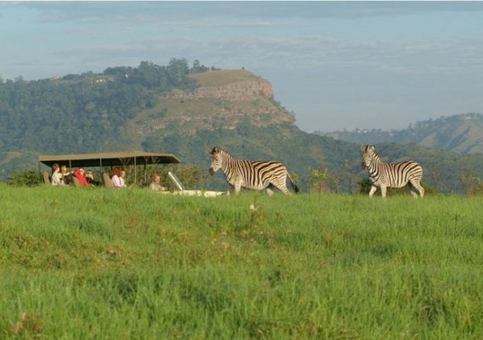 At a Glance: Seafood to Safaris in KwaZulu-Natal