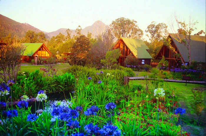 Hidden in the Woods – 15 Forest Accommodations around South Africa