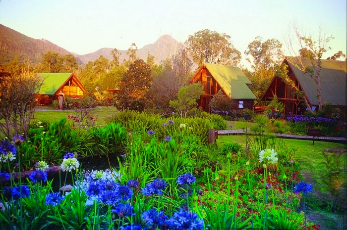 Hidden in the Woods – 15 Forest Accommodations around South Africa