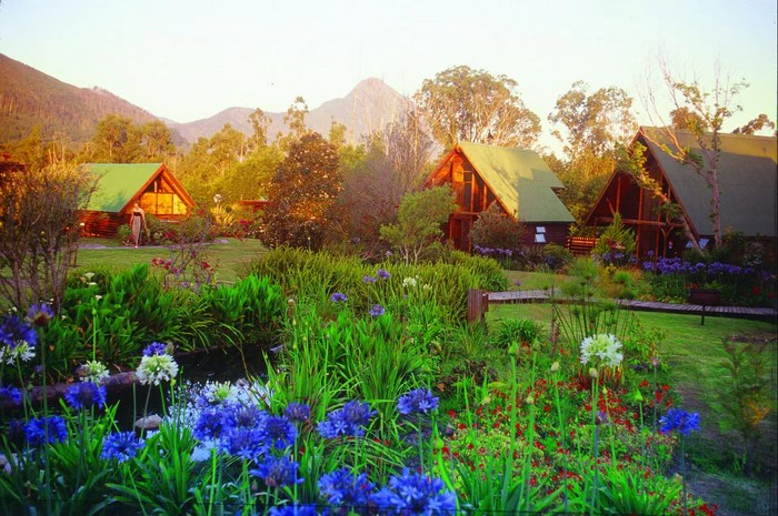 Hidden in the Woods – 15 Forest Accommodations around South Africa