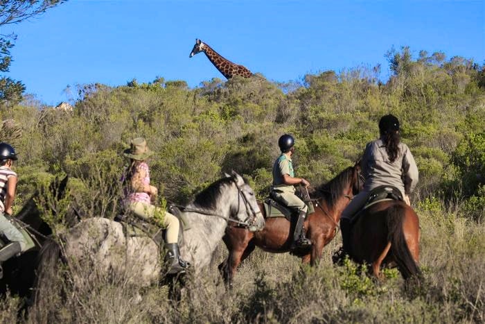 Botlierskop Private Game Reserve (TG)