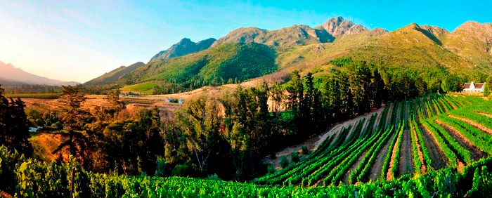 3 Tasty Events in the Winelands this June