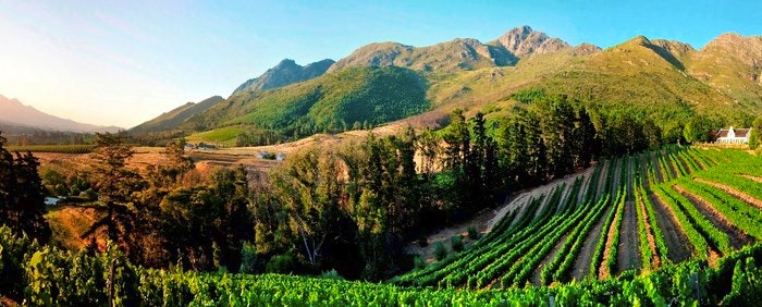 3 Tasty Events in the Winelands this June