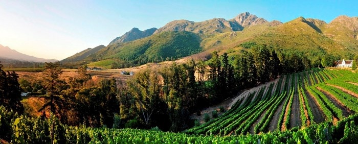3 Tasty Events in the Winelands this June