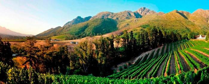 3 Tasty Events in the Winelands this June