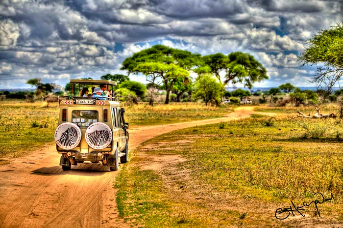 16 Safari Scenes that will Have you Booking Yours Today