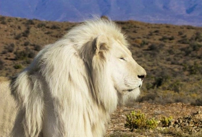 Sanbona Wildlife Reserve (C) TravelGround