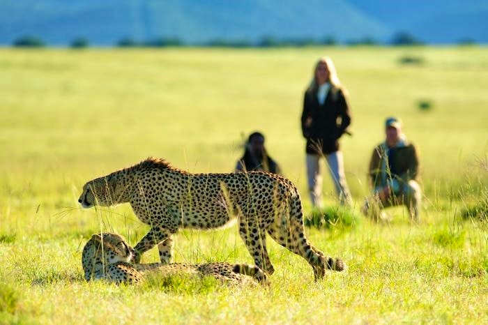 Shamwari Game Reserve (TG)