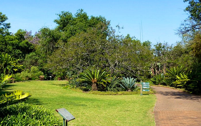 Pretoria National Botanical Garden (Wikipedia)