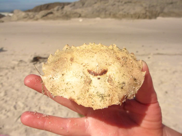 Finding my Hakuna Matata in Yzerfontein