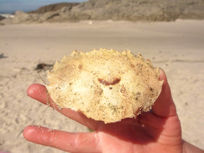 Finding my Hakuna Matata in Yzerfontein