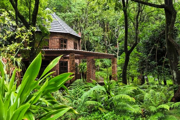 Forest Bird Lodge (C) TravelGround