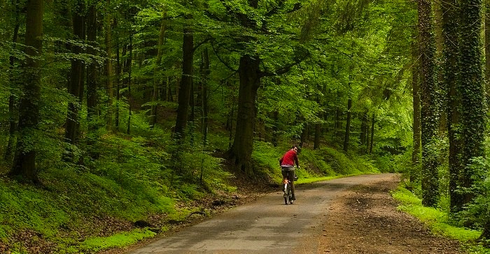 Riding through the forests near Aachen, Cat Burston (Flickr)