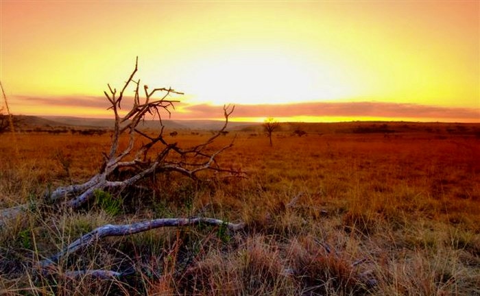 Nambiti-Plains-landscape