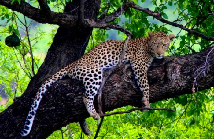 25 Animals Who Aren’t Happy it’s Monday Either