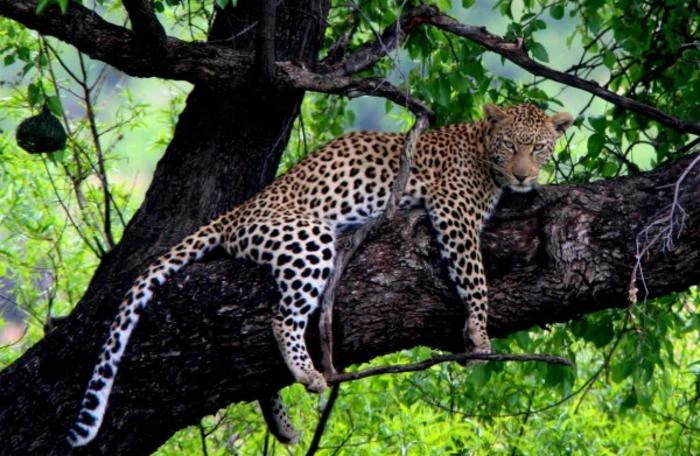 25 Animals Who Aren’t Happy it’s Monday Either