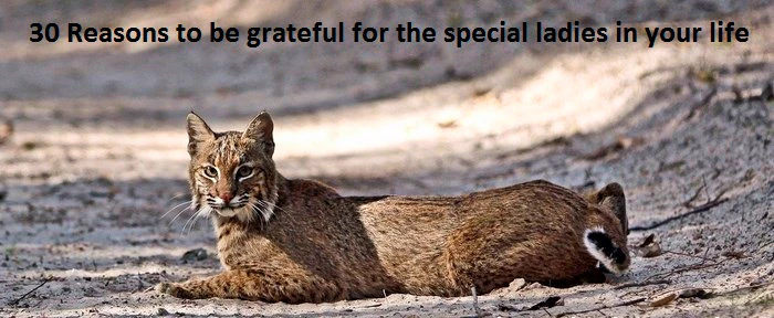 30 wild reasons to be grateful for the special ladies in your life