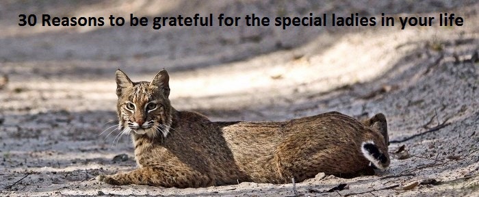 30 wild reasons to be grateful for the special ladies in your life