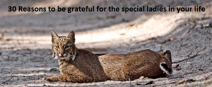 30 wild reasons to be grateful for the special ladies in your life