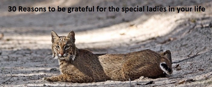 30 wild reasons to be grateful for the special ladies in your life