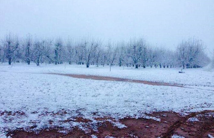 Klondyke Cherry Farm by @HThackery (Snow Report SA)