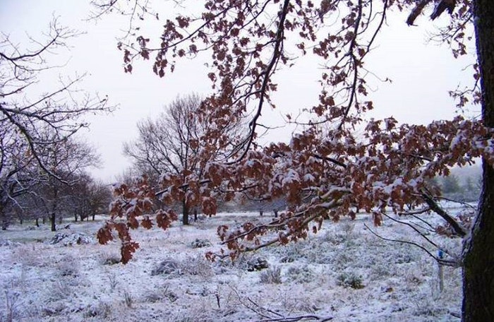 Snow near Klondyke farm by Ita Froneman (Snow Report SA)