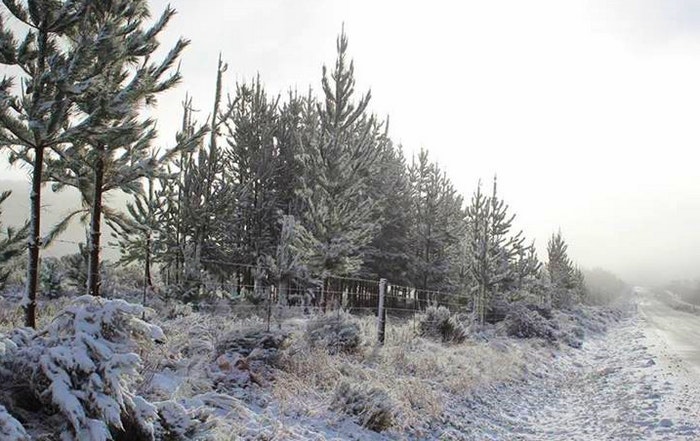 A winter scene (Snow Report SA)