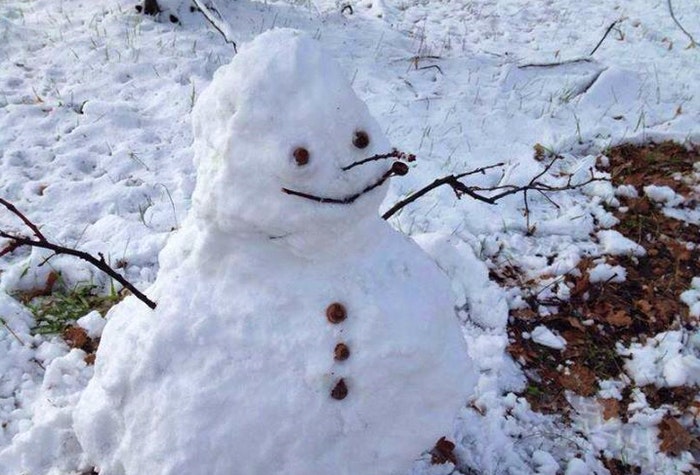 Snowman (Snow Report SA)