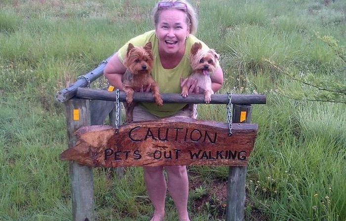 Pet-Friendly Retreats in Gauteng