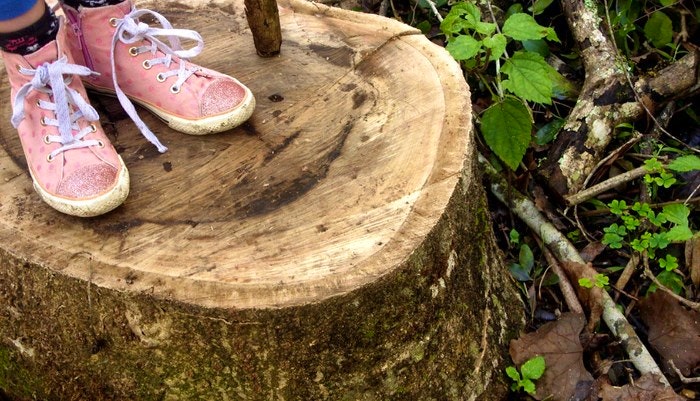 pink-shoes-tree-stump-by-Desiree-Haakonsen