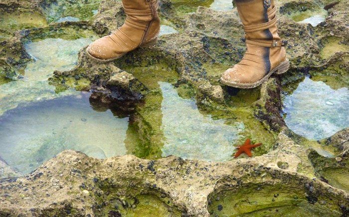 Marine Walk Misadventures at De Hoop Nature Reserve