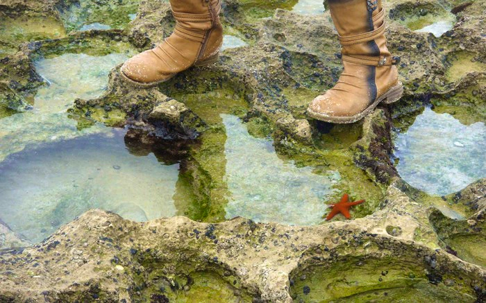 Marine Walk Misadventures at De Hoop Nature Reserve