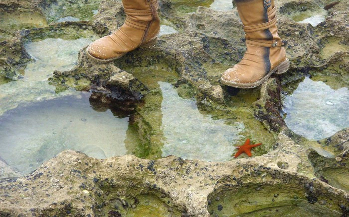 Marine Walk Misadventures at De Hoop Nature Reserve