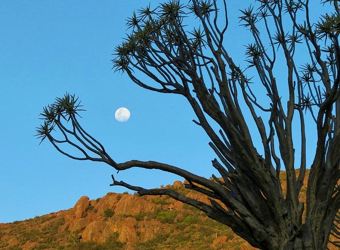 Catch a rising moon when hiking in the Namaqualand. By framesofmind (Flickr)