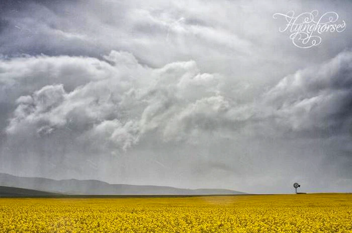 30 Photos that will make you want to #discoverOverberg