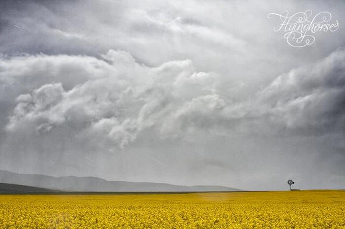 30 Photos that will make you want to #discoverOverberg