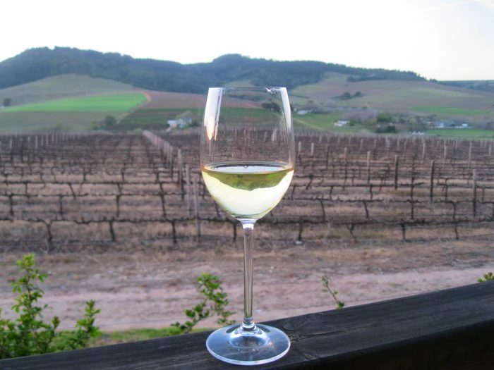 PhotoBlog – Reasons we love Stellenbosch