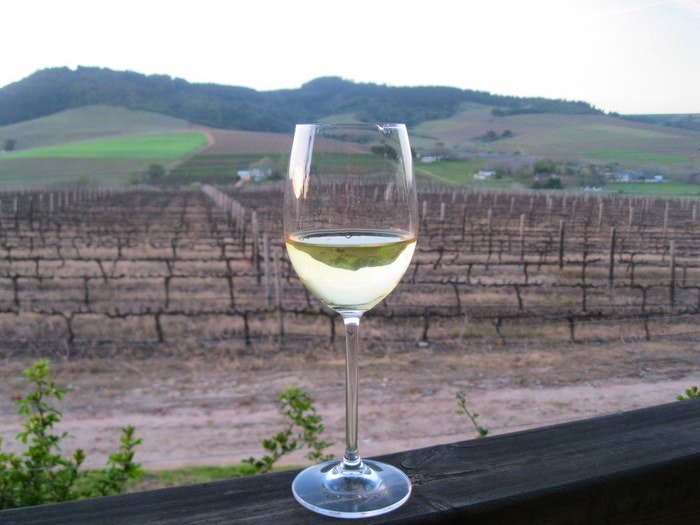 PhotoBlog – Reasons we love Stellenbosch