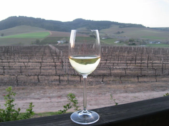 PhotoBlog – Reasons we love Stellenbosch