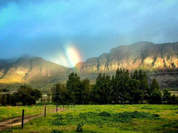 Finding Serenity at Saronsberg Vineyard Cottages
