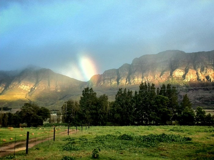 Finding Serenity at Saronsberg Vineyard Cottages