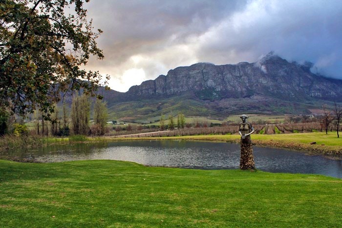 Fine Art & Wine at Saronsberg Cellar