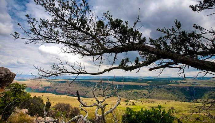 Conquer the Num-Num Trail with Five Assegais