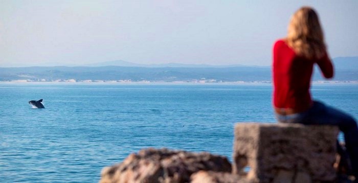 A Photographic Celebration of Spring with #discoverOverberg