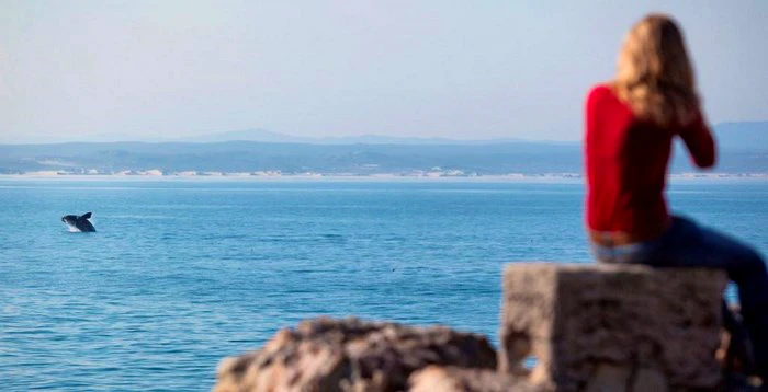 A Photographic Celebration of Spring with #discoverOverberg